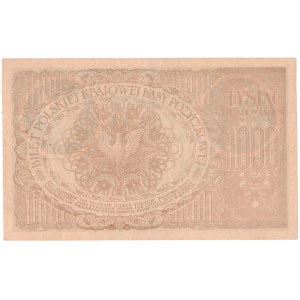 1000 mrek polskich 1919, seria M