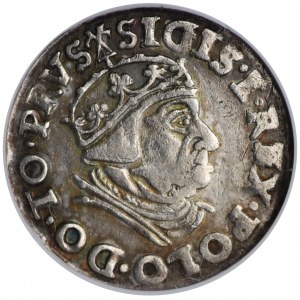 Zygmunt I Stary, Trojak Gdańsk 1539 - PRVS