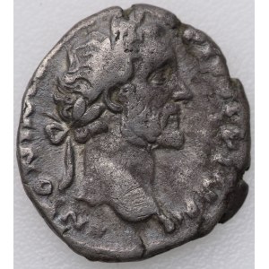 RZYM - denar (138-161) - Antoninus Pius