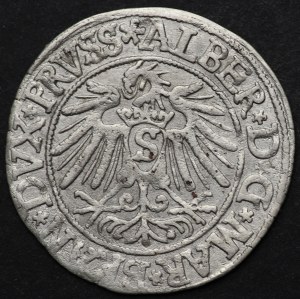 Knížecí Prusko, Albert Hohenzollern, penny 1538, Königsberg