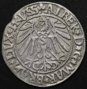 Knížecí Prusko, Albert Hohenzollern, penny 1545, Königsberg