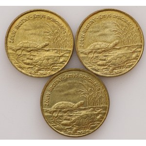 2 Gold 2002, Mud Turtle - set of 3 pieces