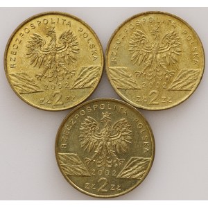2 Gold 2002, Mud Turtle - set of 3 pieces