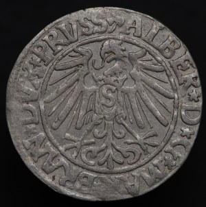 Knížecí Prusko, Albert Hohenzollern, penny 1545, Königsberg