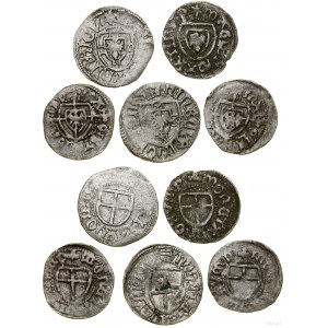 Ordine Teutonico, set di 5 x conchiglie