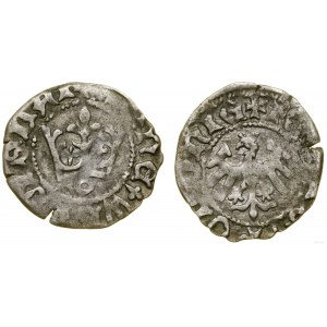 Polska, półgrosz, (1410-1412), Kraków