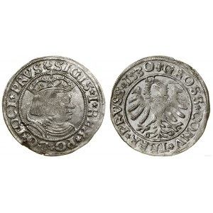 Polonia, penny, 1530, Toruń