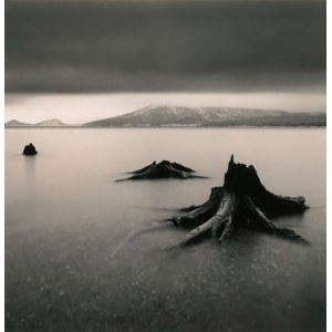 MICHAEL KENNA, Tree Remains