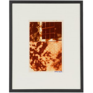 WILLIAM EGGLESTON, Untitled