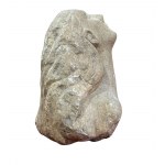 Woman's Face with her gaze directed upwards