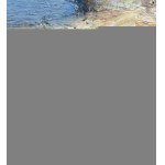VOLPE, View of the Gulf - Volpe