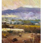 STARNONE, Landscape - Starnone (1960)