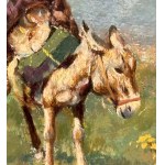TITO PELLICCIOTTI, Horses