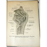 BOCHENEK - ANATOMJA CZŁOWIEKA t.1-3 wyd. 1921