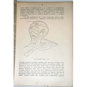 BOCHENEK - ANATOMJA CZŁOWIEKA t.1-3 wyd. 1921