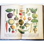 OCHOROWICZ-MONATOWA- UNIWERSALNA KSIĄŻKA KUCHARSKA i 2 inne ksiażki kucharskie Ilustracje i kolorowe tablice