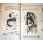 DARWIN - WYRAZ UCZUĆ U CZŁOWIEKA I ZWIERZĄT wyd.1 z 1873