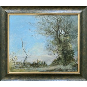 Tadeusz Hołówko, Landscape, 1990