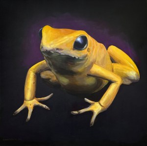Aleksandra Kwapiszewska, Hypnofrog, 2025