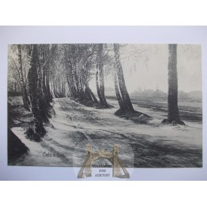 Olesnica, Oels, route, vers 1910