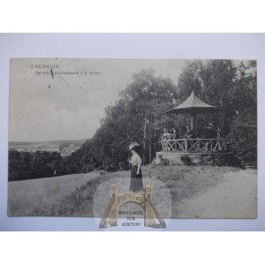 Oborniki Śląskie, Obernigk, grzybek, 1908