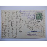 Oborniki Śląskie, Obernigk, grzybek, 1908