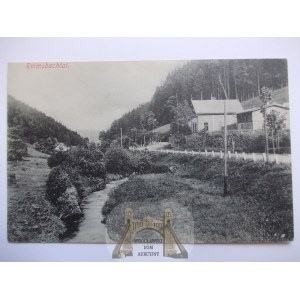 Rybnica Mała, Grzmiąca, strumyk, droga, ok. 1910