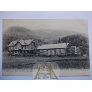 Bielawa, Langenbielau, Steinhauser, 1908