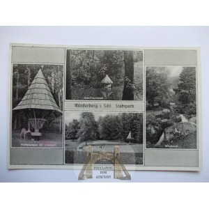 Ziębice, Munsterberg, 4 widoki, ok. 1940