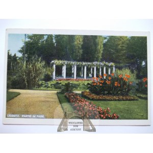 Legnica, Liegnitz, park, ok. 1920