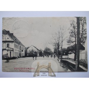 Niedaszów k. jawor, ulica, 1908