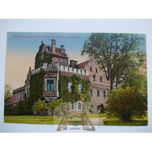 Kowary, Schmiedeberg, Nowy Dwór, pałac, ok. 1914