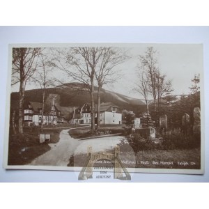 Karpacz - Wilcza Poręba, Goldene Aussicht, 1931