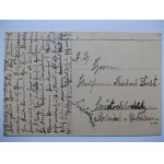 Duszniki Zdrój, Bad Reinerz, willa Cornelia, ok. 1925