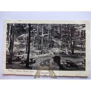 Żary, Sorau, las, ok. 1938