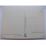 Rogalin k. Poznań, stary dąb, wyd. Książnica Atlas, 1938