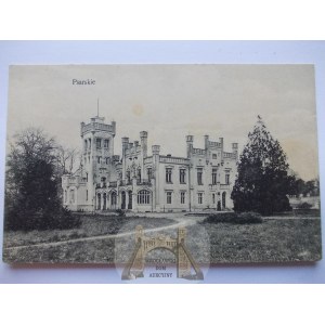 Psarskie k. Śrem, pałac ok. 1910