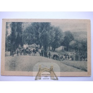 Kaszczor k. Wolsztyn, staw, ulica ok. 1920