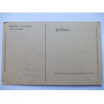 Kaszczor k. Wolsztyn, staw, ulica ok. 1920