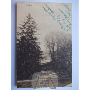 Kwilicz k. Międzychód, park ok. 1915