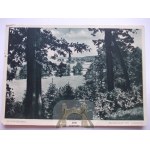 Sawtooth, Schneidemuhl, river, forest 1935
