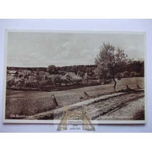 Szczecin, Stettin, Buchheide, leśniczówka Fliedenbruch, 1930