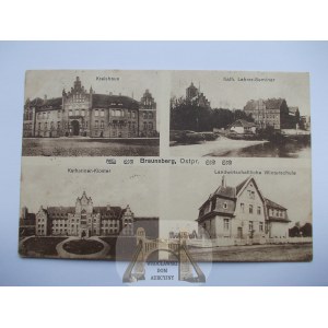 Braniewo, Braunsberg, 4 widoki 1920