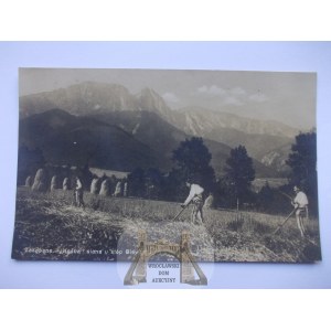 Tatry, kośba siana, Giewont 1927