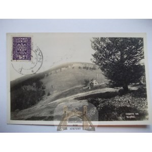 Cieszyn, panorama, fot. Felitzinger, 1926