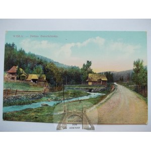 Wisła, Dolina Dziechcińska, 1910
