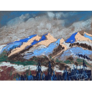 Wiktor ZIN (1925-2007), Polskie Tatry
