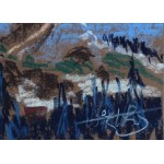 Wiktor ZIN (1925-2007), Polskie Tatry