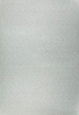 Roman Opałka (1931 - 2011), Detal: 2389630-2409346, z cyklu: 1965/1 - ∞