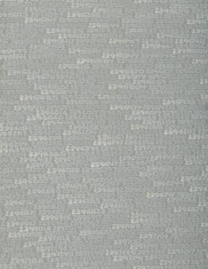 Roman Opałka (1931 - 2011), Detal: 2389630-2409346, z cyklu: 1965/1 - ∞
